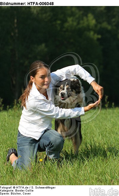 Border Collie / HTFA-006048