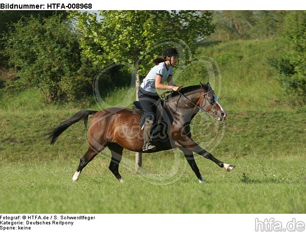 Frau reitet Deutsches Reitpony / woman rides pony / HTFA-008968
