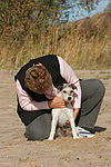 Parson Russell Terrier