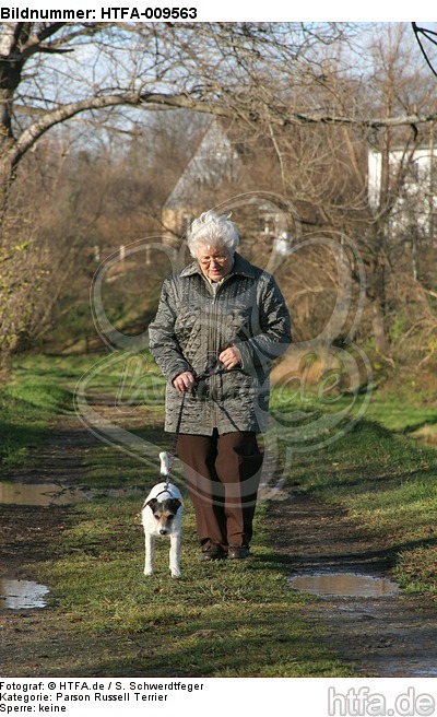 Frau mit Parson Russell Terrier / woman with PRT / HTFA-009563