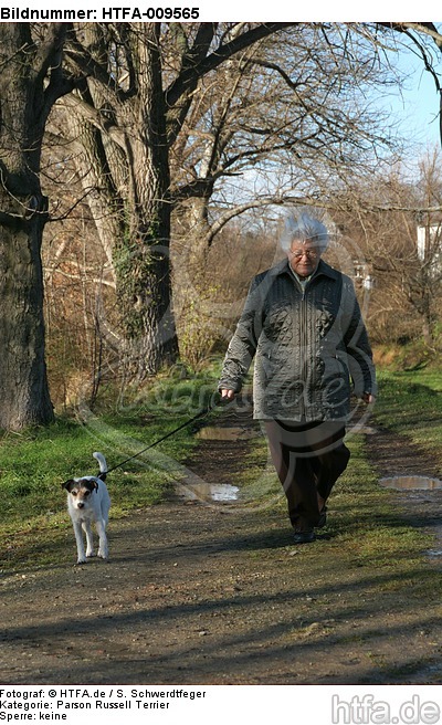 Frau mit Parson Russell Terrier / woman with PRT / HTFA-009565