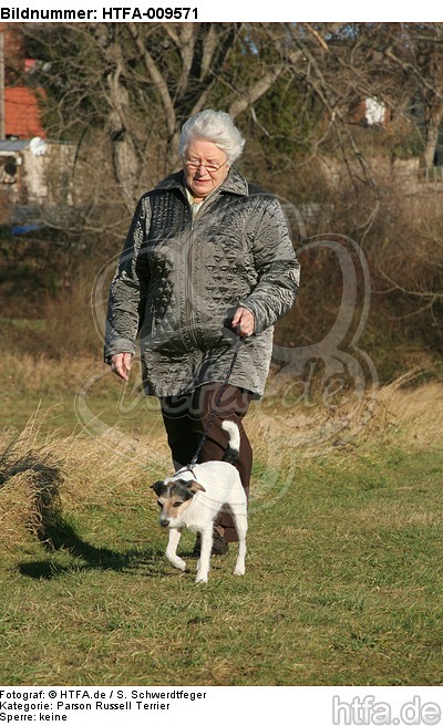 Frau mit Parson Russell Terrier / woman with PRT / HTFA-009571