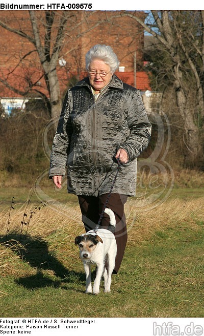 Frau mit Parson Russell Terrier / woman with PRT / HTFA-009575