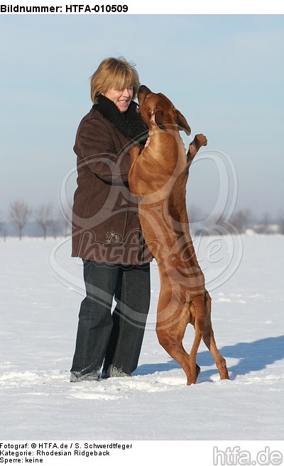 Frau mit Rhodesian Ridgeback / woman with Rhodesian Ridgeback / HTFA-010509