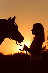 Frau und Deutsches Reitpony im Abendlicht / woman and pony