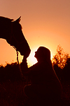 Frau und Warmblut / woman and warmblood