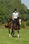 Frau reitet Deutsches Reitpony / woman rides pony