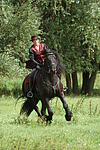 Frau reitet Friese / woman rides friesian horse