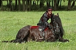 Frau mit Friese / woman and friesian horse