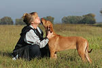 Frau streichelt Rhodesian Ridgeback / woman is fondling Rhodesian Ridgeback