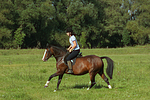 Frau reitet Deutsches Reitpony / woman rides pony