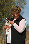 Parson Russell Terrier Welpe / parson russell terrier puppy