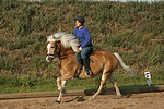 Mädchen reitet Haflinger / girl rides haflinger horse