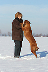 Frau mit Rhodesian Ridgeback / woman with Rhodesian Ridgeback