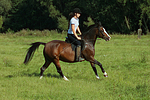 Frau reitet Deutsches Reitpony / woman rides pony