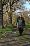 Frau mit Parson Russell Terrier / woman with PRT