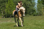 Frau reitet Haflinger / woman rides haflinger horse