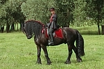 Frau reitet Friese / woman rides friesian horse