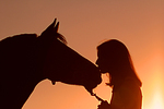 Frau und Deutsches Reitpony im Abendlicht / woman and pony