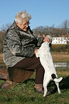 Frau streichelt Parson Russell Terrier / woman is fondling PRT