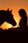 Frau und Deutsches Reitpony im Abendlicht / woman and pony