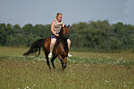 Isländer / icelandic horse