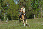 Frau reitet Haflinger / woman rides haflinger horse