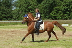 Frau reitet Deutsches Reitpony / woman rides pony