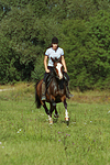 Frau reitet Deutsches Reitpony / woman rides pony