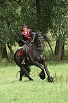 Frau reitet Friese / woman rides friesian horse