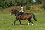 Frau reitet Deutsches Reitpony / woman rides pony