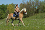 Frau reitet Haflinger / woman rides haflinger horse