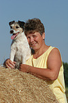 Parson Russell Terrier