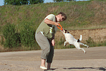 Frau spielt mit Parson Russell Terrier / woman plays with PRT