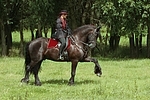 Frau reitet Friese / woman rides friesian horse