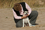 Parson Russell Terrier