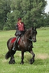 Frau reitet Friese / woman rides friesian horse