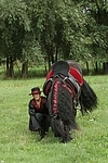 Frau mit Friese / woman and friesian horse