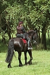 Frau reitet Friese / woman rides friesian horse