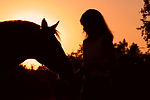 Frau und Deutsches Reitpony im Abendlicht / woman and pony