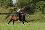 Frau reitet Deutsches Reitpony / woman rides pony