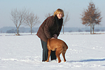 Frau mit Rhodesian Ridgeback / woman with Rhodesian Ridgeback