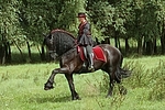 Frau reitet Friese / woman rides friesian horse