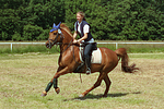 Frau reitet Deutsches Reitpony / woman rides pony