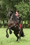 Frau reitet Friese / woman rides friesian horse