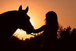 Frau und Deutsches Reitpony im Abendlicht / woman and pony