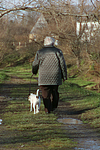 Frau mit Parson Russell Terrier / woman with PRT