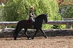 Frau reitet Friese / woman rides friesian horse