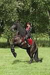 Frau reitet Friese / woman rides friesian horse