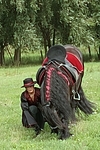 Frau mit Friese / woman and friesian horse